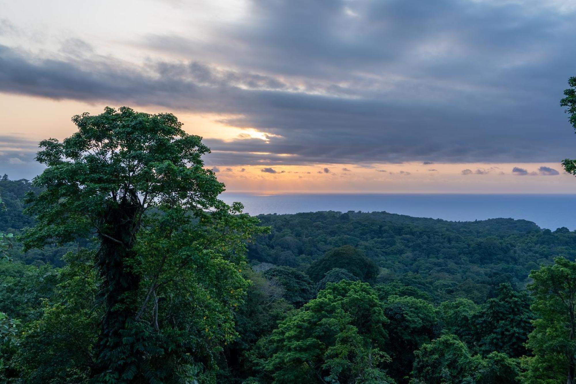 Santo António Roca Sundy - Principe Collection旅馆 外观 照片